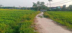 n mảnh vườn tại Thăng Bình tại Quảng Nam