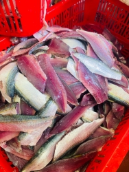 Fresh fillet eel tại Quảng Nam