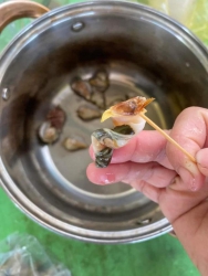 Ốc Nhảy Điện Phương - Ốc Siu Siu Ngon tại Quảng Nam