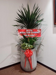 CÔNG TY TNHH TƯ VẤN THIẾT KẾ ĐẦU TƯ XÂY DỰNG 79DESIGN tại Quảng Nam