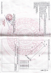 1900mv vườn tràm 2 năm tại Phong An - Huế viel hồ sen tại Quảng Nam