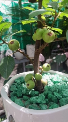 Ai thích sung sướng thì liên hệ em nhé tại Quảng Nam