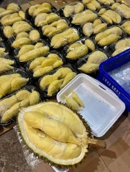 ĐẠI HẠ GIÁ NHÉ MẤY CHỊ ƠI - GIÁ SỐC tại Quảng Nam