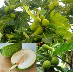  tại Quảng Nam