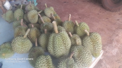 tại Quảng Nam