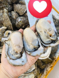 Lên đơn chủ nhật tại Quảng Nam