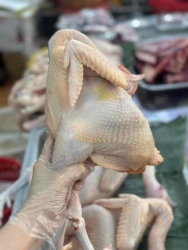  SỐC tại Quảng Nam