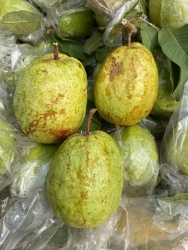 Vườn Bón Đổ Tương - Hén Ngọt tại Quảng Nam