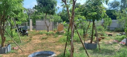 Cần bán lô đất trồng cây đường ô tô Hoàng Văn Thái Nối Dài, Khu Đại La tại Quảng Nam