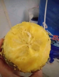 Mua bán mãng cầu quê tại Quảng Nam