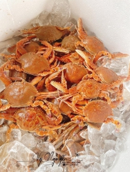 Ghe vo tre moi go luoi them duoc it ki ghe sieu chac thit tại Quảng Nam