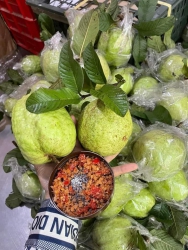 Ổi ngon cực tại Quảng Nam