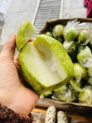 Bưởi vỏ hén mỏng loé siêu ngon nha tại Quảng Nam