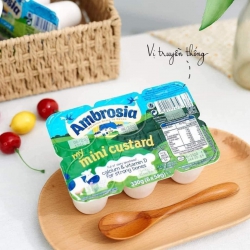 Sữa chua và Ván sữa mới về, dinh dưỡng chất lượng cho bé từ 6 tháng tuổi trở lên tại Food Mart tại Quảng Nam