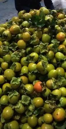 Gom đơn hồng Đà lạt cuối tuần trả tại Quảng Nam