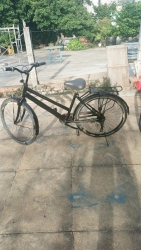  vài trăm tại Quảng Nam