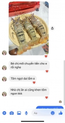 Chuyên mục Bán Tôm Hùm tại Quảng Nam
