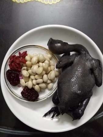 Gà ác ,Bồ câu sống  bổ dưỡng cho mọi nhà tại Quảng Nam