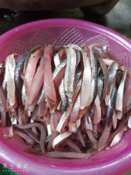 GỎI CÁ BÉ OANH tại Quảng Nam