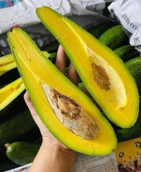 Bơ 034 cuối mùa rồi làm chi có giá ni, chi chứ Nữ hoàng chân dài cơm bơ ko chi sánh bằng tại Quảng Nam