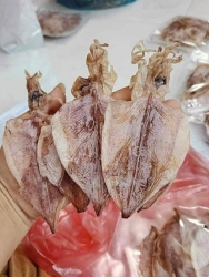 ch lên đơn mai em giao tại Quảng Nam