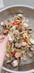  THỨ 4 e có SÒ LÔNG TƯƠI SỐNG phục vụ cả nhà tại Quảng Nam