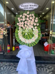 i cây nhập khẩu tại Quảng Nam