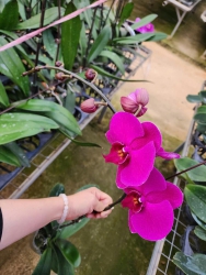 Công ty tư vấn thiết kế đầu tư xây dựng 79DESIGN Vườn cây xanh 79GARDEN tại Quảng Nam