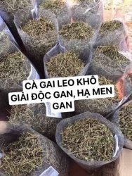 Cà Gai Leo: Đã Phơi Khô tại Quảng Nam