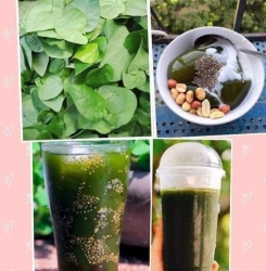 Cây xanh lành mạnh cho ánh nắng mặt trời tại Quảng Nam