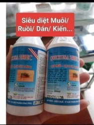 ng không có muỗi không phải mắc màn tại Quảng Nam