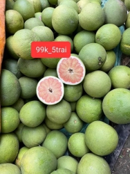 Bưởi chưa có chuyến mô rẽ như chuyến ni tại Quảng Nam