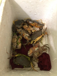 Cua Sông Cửa Đại tại Quảng Nam