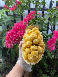Mít tố nữ ngon ngọt từ Vườn gởi sầu tại Quảng Nam