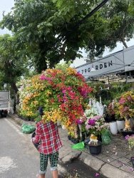 Rừng hoa đến từ Đội Chủ Nhà 79 tại Quảng Nam