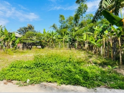 Bán đất tại Thôn Lạc Thành Nam tại Quảng Nam