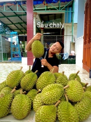 Hàng mới về, chất lượng tại Quảng Nam