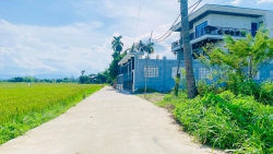 View lúa mát mẻ tại Quảng Nam