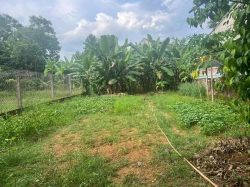 Bán đất Trước đông hoà nhơn tại Quảng Nam