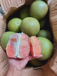ch tại Quảng Nam