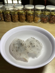 Yến Sào Gia Hỷ tại Quảng Nam