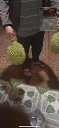 i to dã man tại Quảng Nam