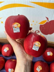 o Mỹ autumn 1.4 triệu 1 thùng 18kg ruột Lẽ 90k 1kg size to 4 5 quả kg tại Quảng Nam