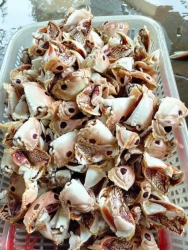  rẻ ạ tại Quảng Nam