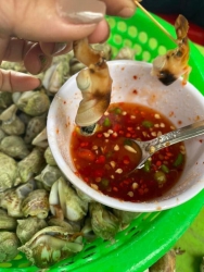 Em còn ốc nhà tại Quảng Nam