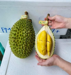 Menu món ngon ngày mai tại Quảng Nam