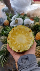  tại Quảng Nam