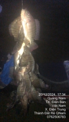 Chu di Nhat can ban gap Dien Tho 5x55 betong 7m tại Quảng Nam