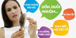 Nguyên nhân rụng tóc và cách chăm sóc tóc theo Đông y tại Quảng Nam
