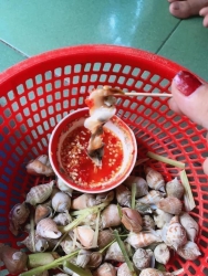 Em Còn Ốc - Lên Đơn Em Ship tại Quảng Nam